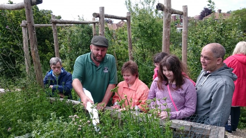 Meet the Beetles of Lewes Community Allotment.